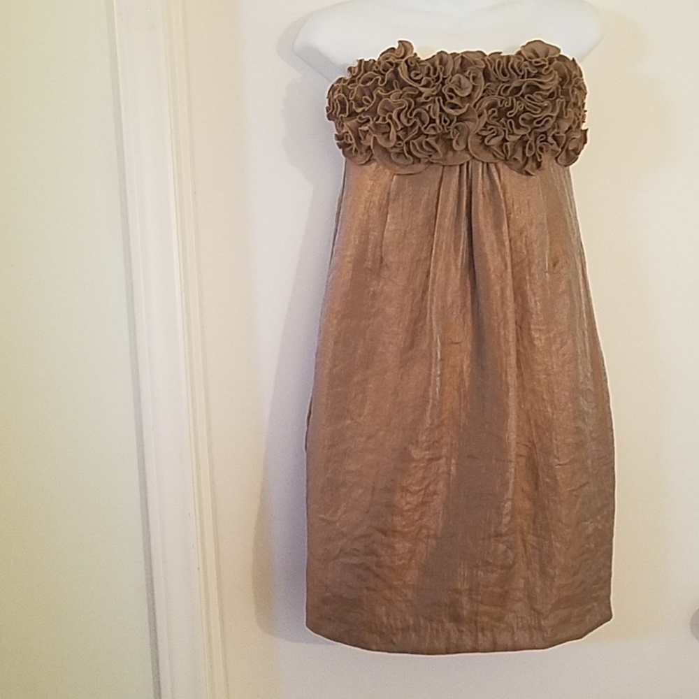Alexia Ador NY  Bronze Strapless Dress Size Xsmall